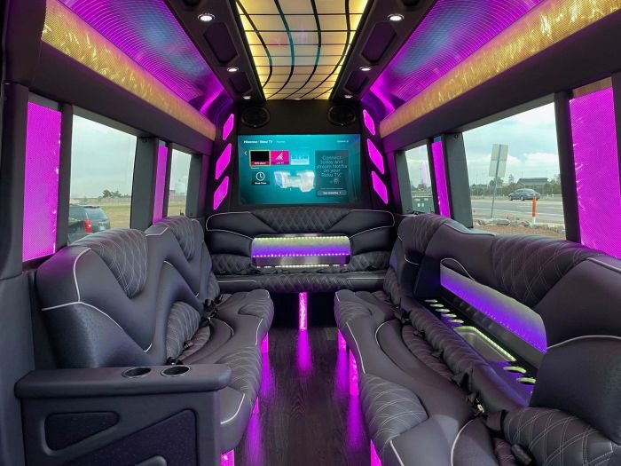 Sprinter limo lounge with TV – Longmont party bus rental