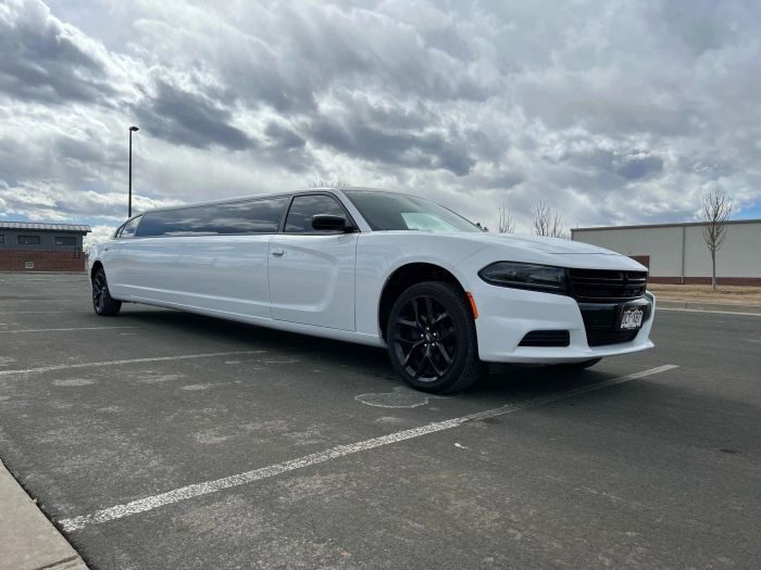 White stretch limo – Longmont party bus rental